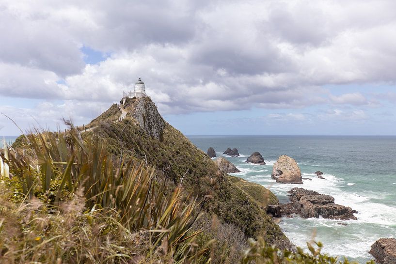 Nugget Point - Neuseeland von Jurgen Buijsse