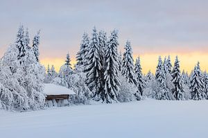 Holzschuppen im Schnee