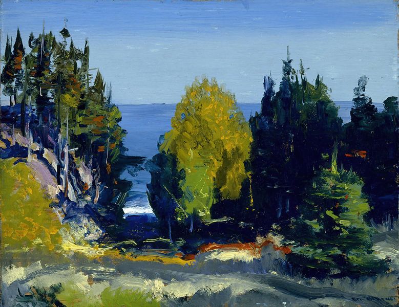 George Bellows-De Grove Monhegan by finemasterpiece