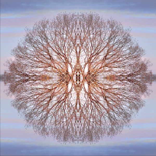 Autumn circle by LANETfotografie