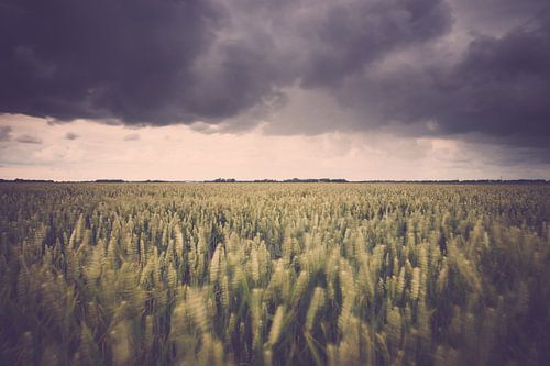 Stormachtige agricultuur landschap boven de polder