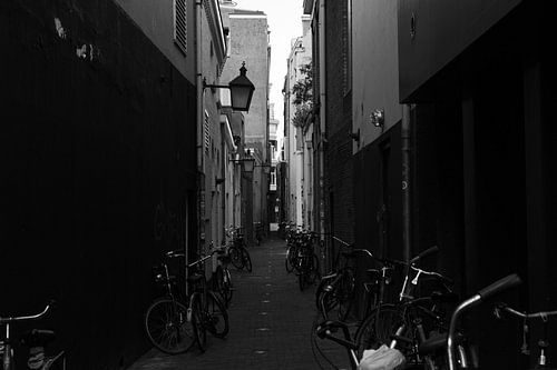 Steeg in Utrecht met overal fietsen