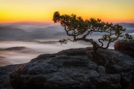 Elbezandsteengebergte van Heiko Lehmann