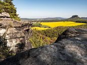 Großer Bärenstein, Saksisch Zwitserland - Lilienstein van Pixelwerk thumbnail
