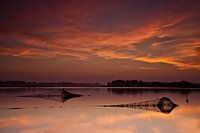 Visfuiken in het Lauwersmeer 