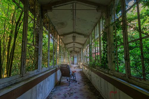 The green mile by Monodio Photography