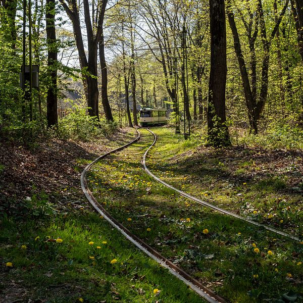 Tram in het bos (kleur) van Sander de Jong