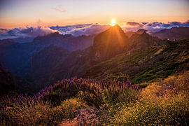 „Pride of Madeira“ bei Sonnenuntergang