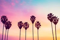 Palmbomen op Rodeo Drive