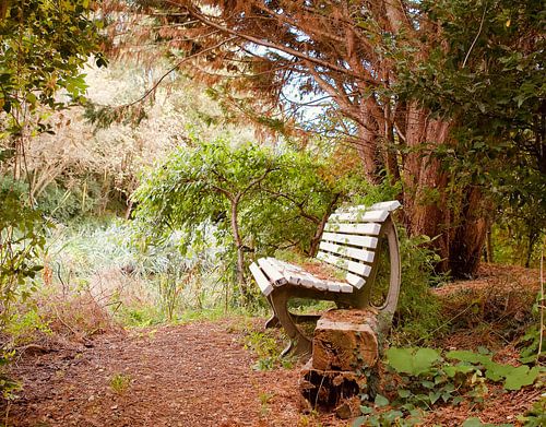 De pracht van Herfst