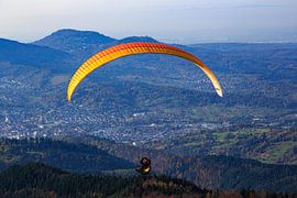 Les diablotins de Loffenau