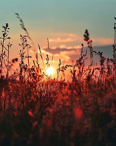 Goldene Stunde