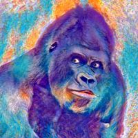 gorille-singe