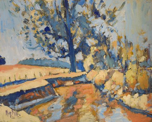 Boom met mistletoe langs de Geul