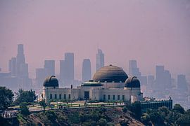 Downtown LA by Nynke Nicolai