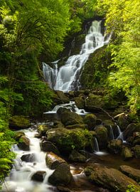 Killarney - Torc waterfall (Ireland) by Marcel Kerdijk
