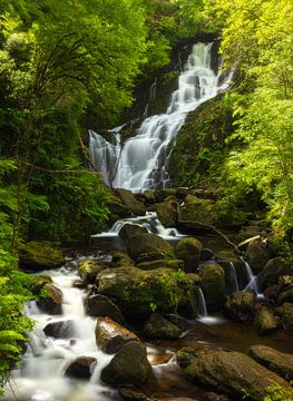 Killarney - Torc waterfall (Ierland) van Marcel Kerdijk