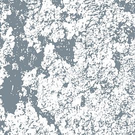 Abstract botanical wabi-sabi art: moss in grey by Dina Dankers