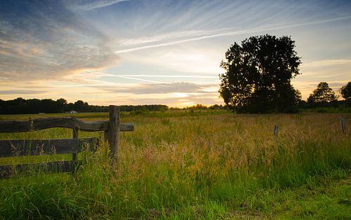 Die Landschaft der Drenthe