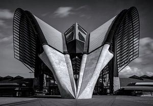 Spaceship Saint Exupéry II