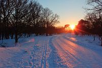 La neige dans les dunes d'approvisionnement en eau d'Amsterdam.