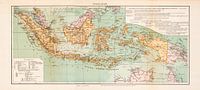 Vintage-Karte Insulinde (Indonesien) von Studio Wunderkammer Miniaturansicht
