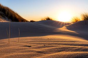 Die goldene Stille der Urzeit