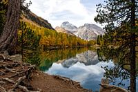 Reflections in the lake