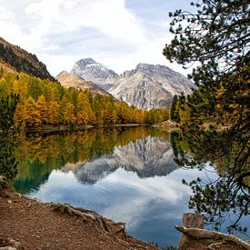 Reflections in the lake by Jaco Verpoorte