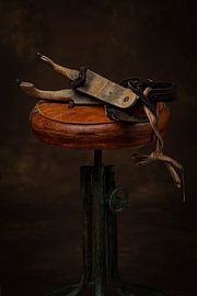 Frisian doorlopers. by Herman IJssel BWPHOTO