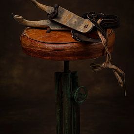 Friesische Türklopfer. von Herman IJssel BWPHOTO