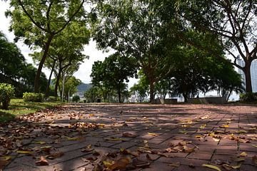La promenade Cinta Costera déserte