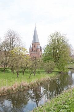 droge nap van michel nolsen