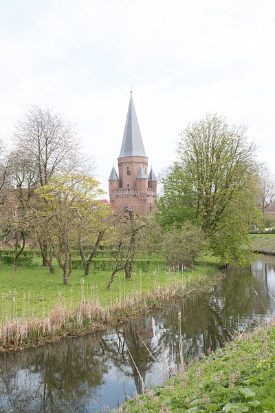 Trockenschlaf von michel nolsen
