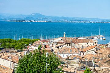 Blick auf die Stadt Desenzano del Garda am Gardasee van Animaflora PicsStock