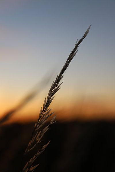 A simple pipe straw by Valerie de Bliek