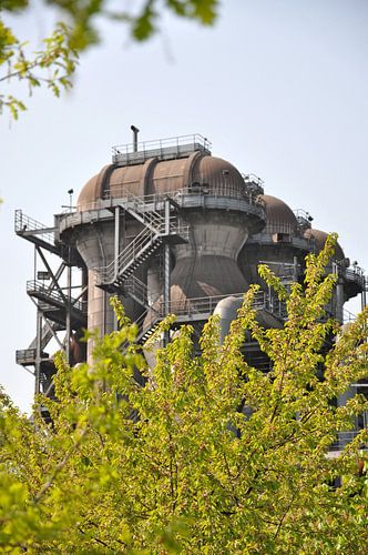 Giant insect of steel