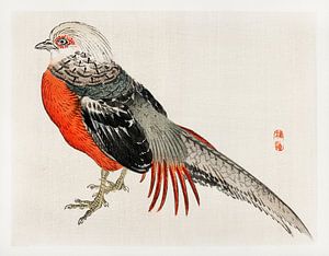 Japanse fazant door Kōno Bairei van Studio POPPY