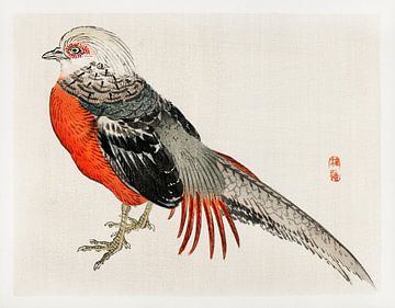 Japanse fazant door Kōno Bairei