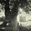 Kasteel Doornenburg Nederland in zwartwit van Hilda Weges