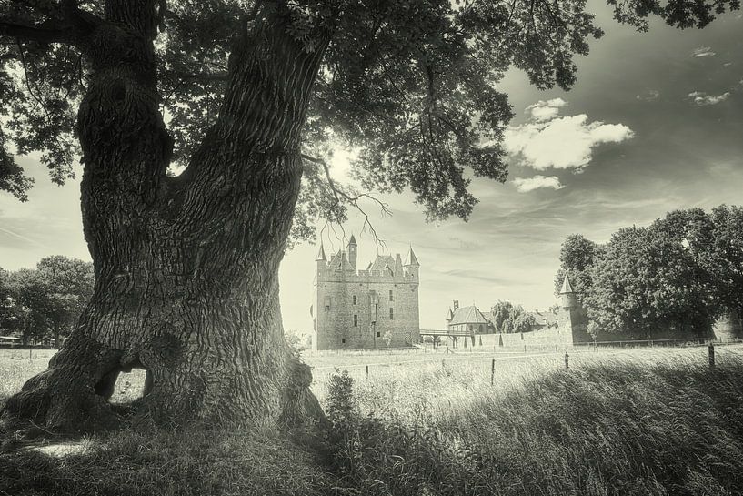 Schloss Doornenburg Niederlande in schwarz und weiß von Hilda Weges