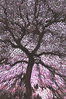 Impressionist tree contour