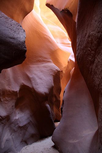 A Symphony of red sandstone