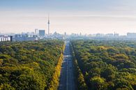 Berlijnse skyline met Tiergarten en televisietoren van Frank Herrmann thumbnail