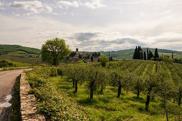 Panorama Badia A Passignano van Peter Baier