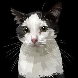 niedlicher Katzenblick