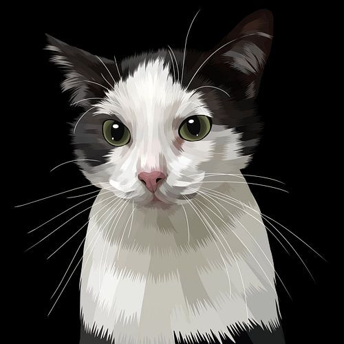 regard de chat mignon