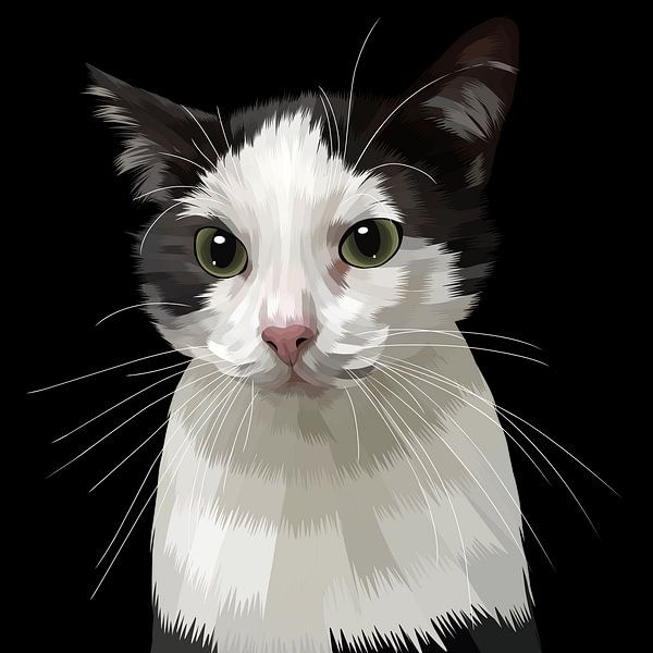 niedlicher Katzenblick von mshel tyan