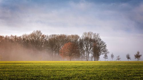 Herfstbeeld
