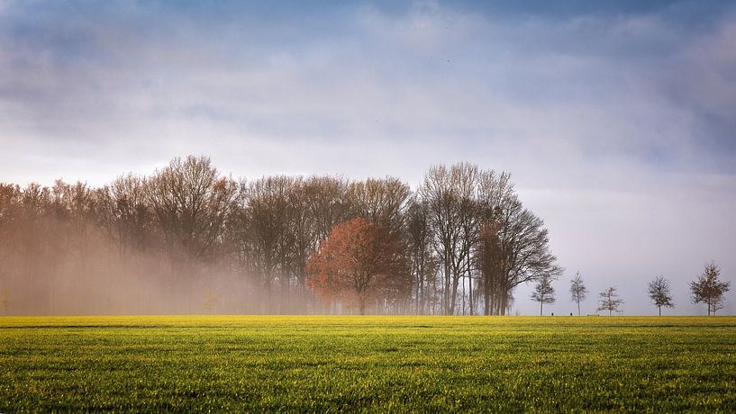 Image d'automne par Anneke Hooijer